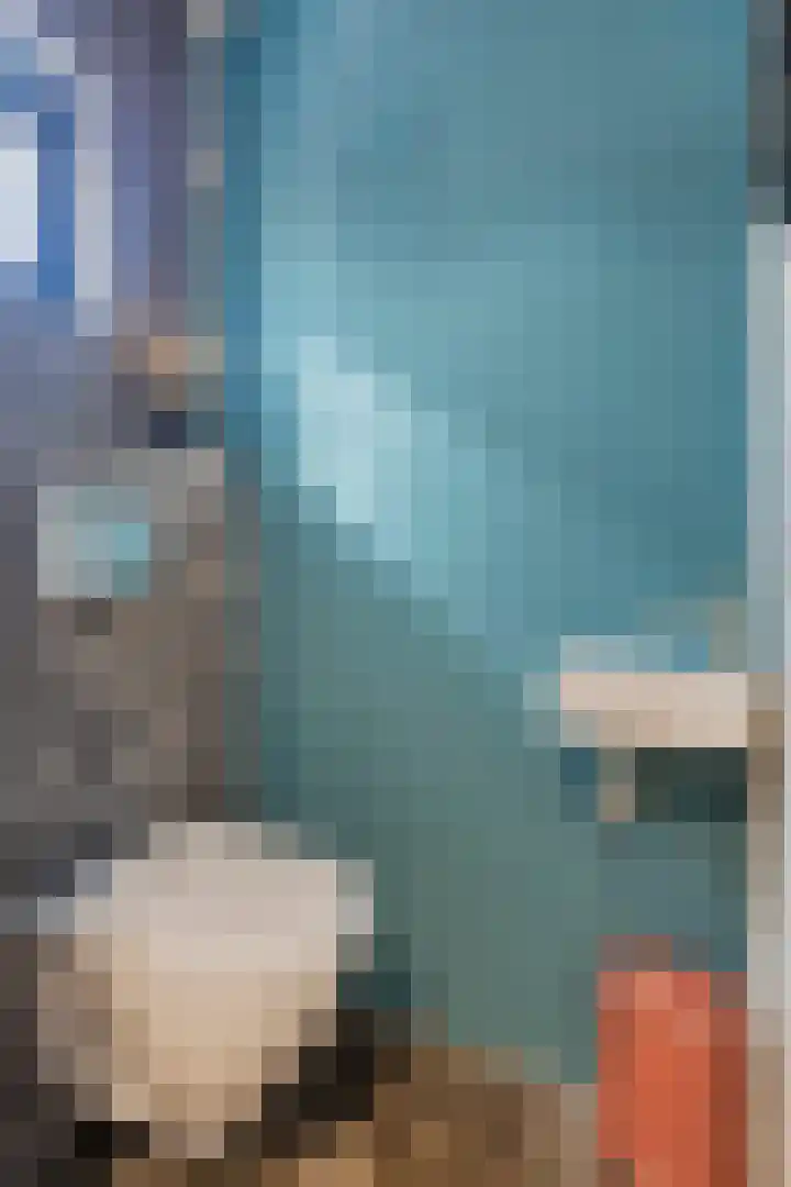 De Zuiling 135 Elst thumbnail 8