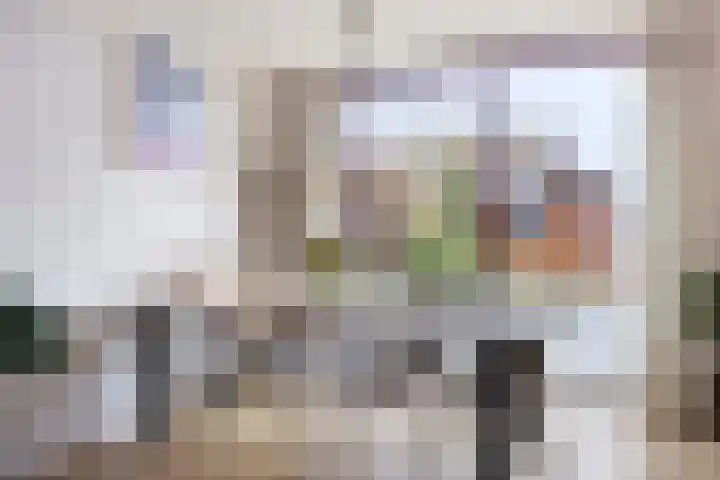 De Zuiling 71 Elst thumbnail 12