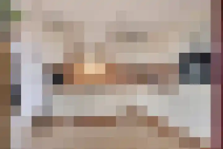 De Zuiling 71 Elst thumbnail 14