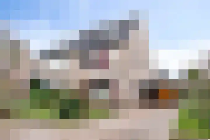 De Zuiling 71 Elst foto 2