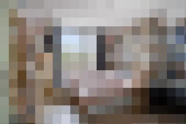 De Zuiling 71 Elst thumbnail 20