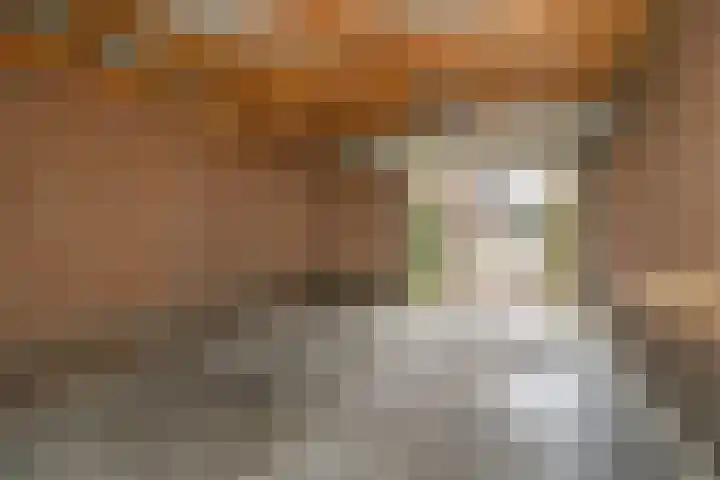 De Zuiling 71 Elst thumbnail 26