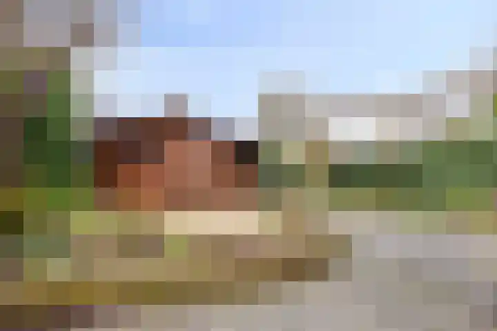 De Zuiling 71 Elst thumbnail 32