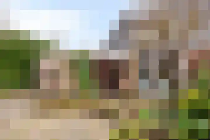 De Zuiling 71 Elst thumbnail 34