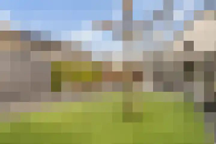 De Zuiling 71 Elst thumbnail 36