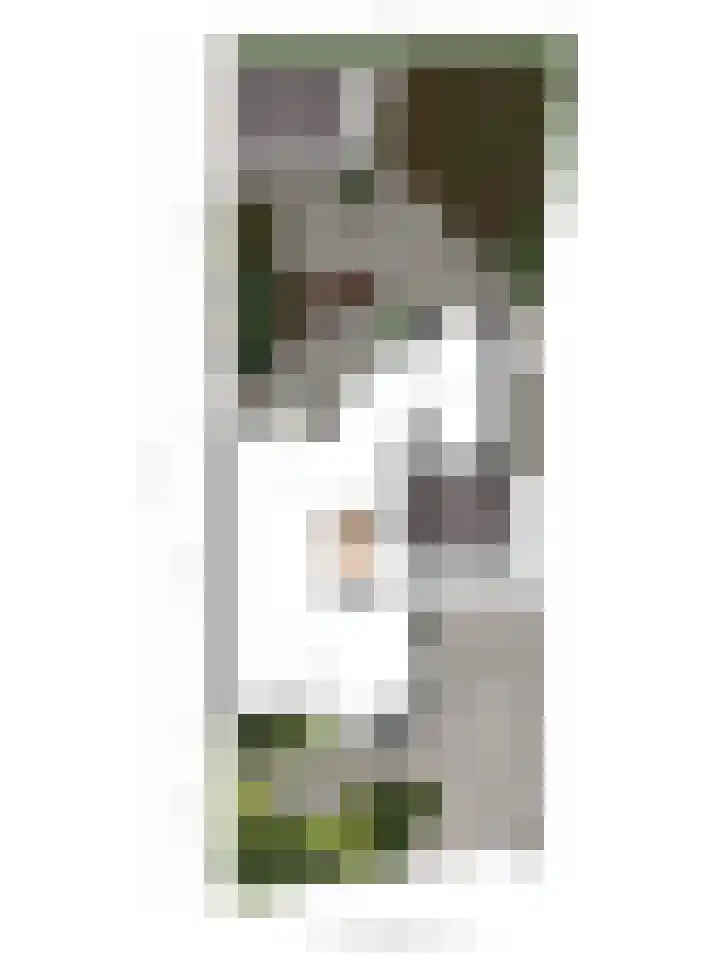De Zuiling 71 Elst thumbnail 38