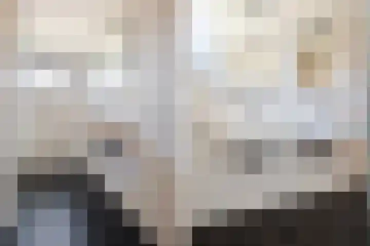 De Zuylenkamp 38 Hummelo thumbnail 19