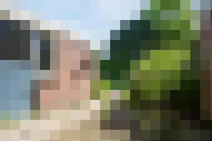De Zuylenkamp 38 Hummelo thumbnail 25