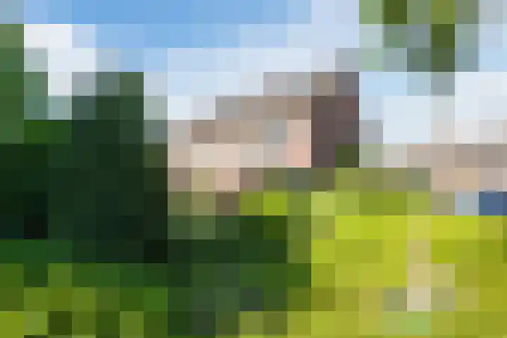 De Zuylenkamp 38 Hummelo thumbnail 29