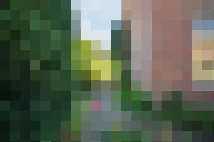 De Zuylenkamp 38 Hummelo thumbnail 30