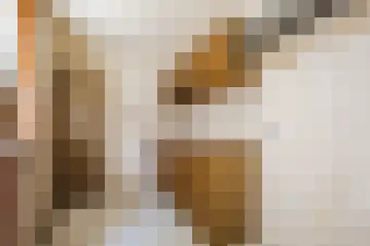 De Zuylenkamp 38 Hummelo thumbnail 7