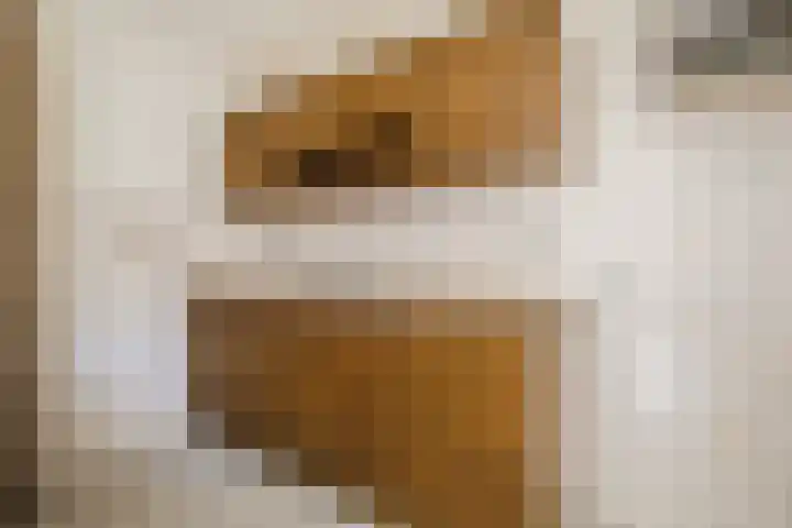 De Zuylenkamp 38 Hummelo thumbnail 8
