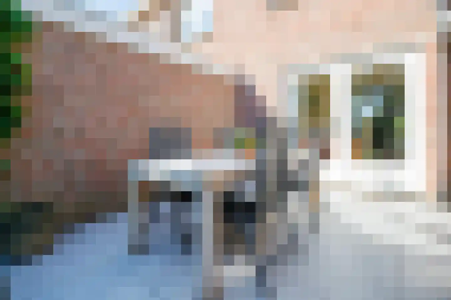 De Zuylenkamp 50 Hummelo thumbnail 16
