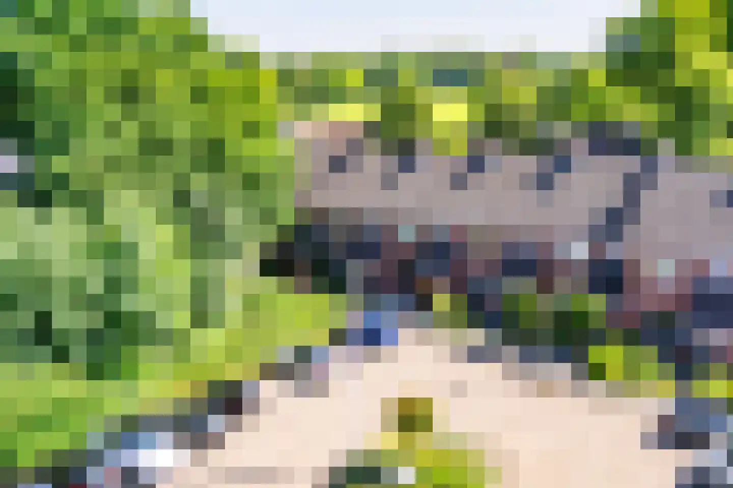 De Zuylenkamp 50 Hummelo thumbnail 37