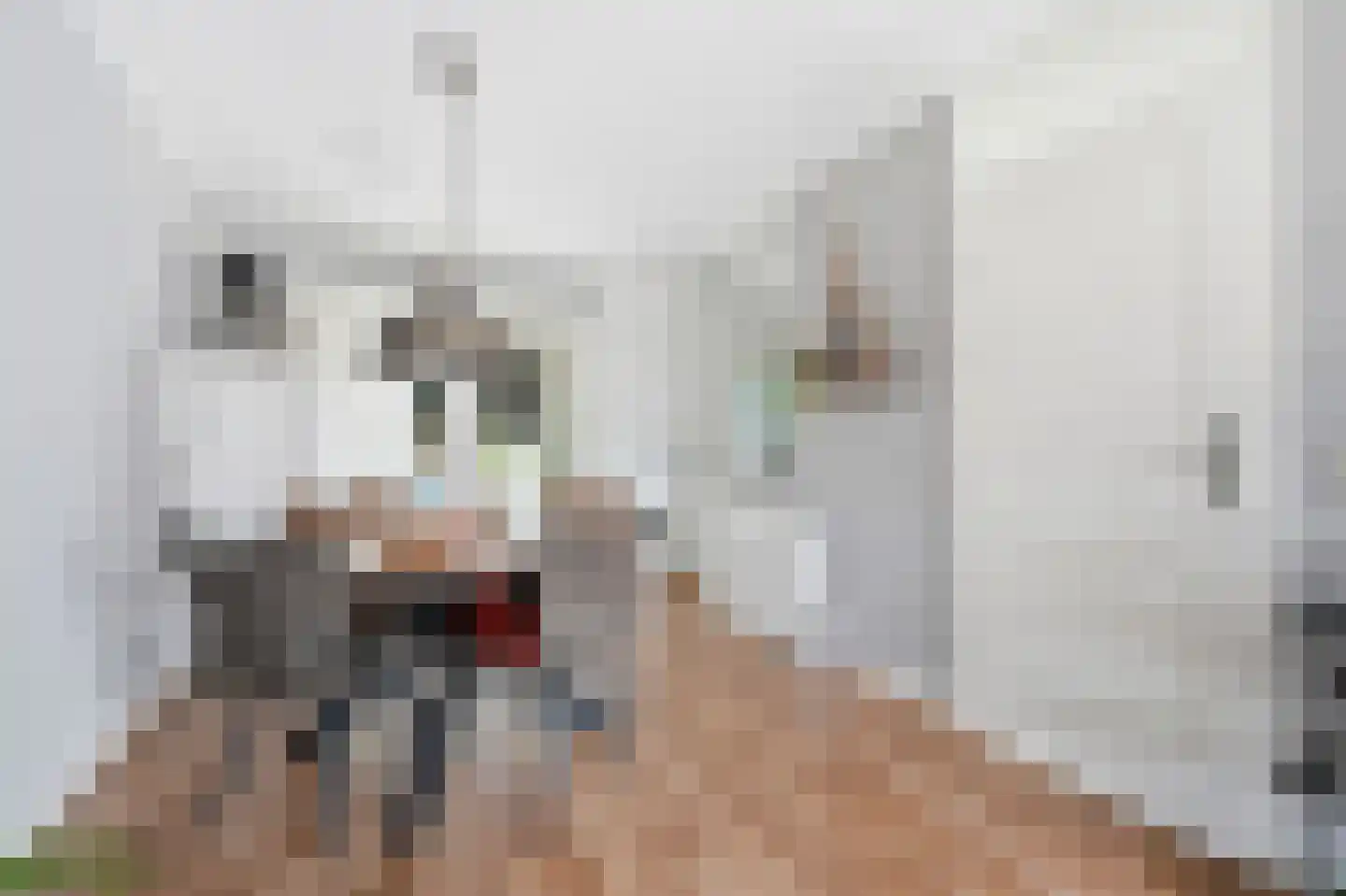De Zwaai 69 Zwartemeer thumbnail 10