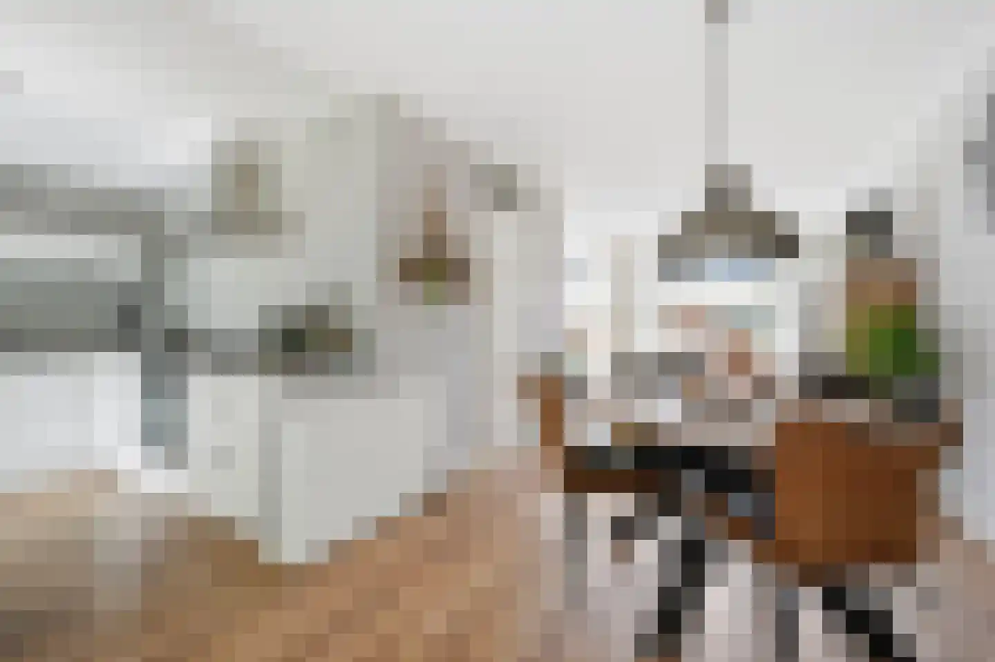 De Zwaai 69 Zwartemeer thumbnail 11