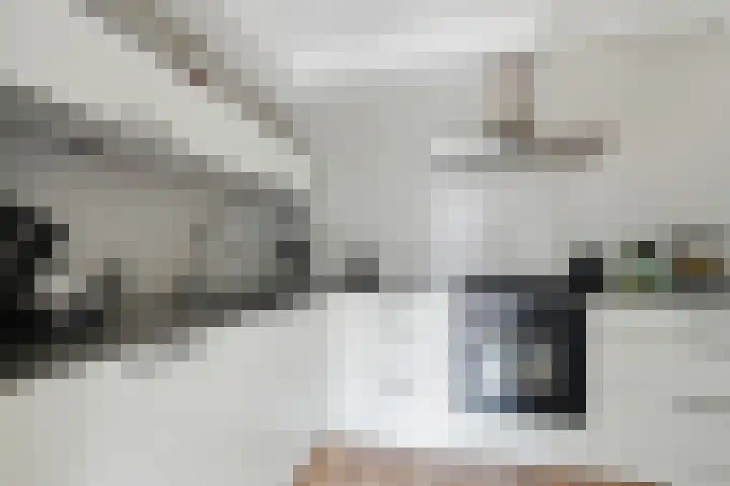 De Zwaai 69 Zwartemeer thumbnail 13