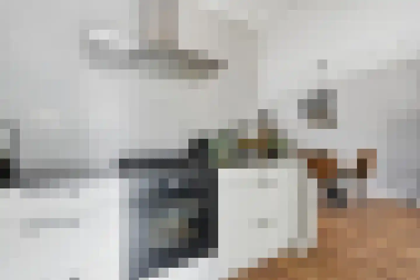 De Zwaai 69 Zwartemeer thumbnail 14