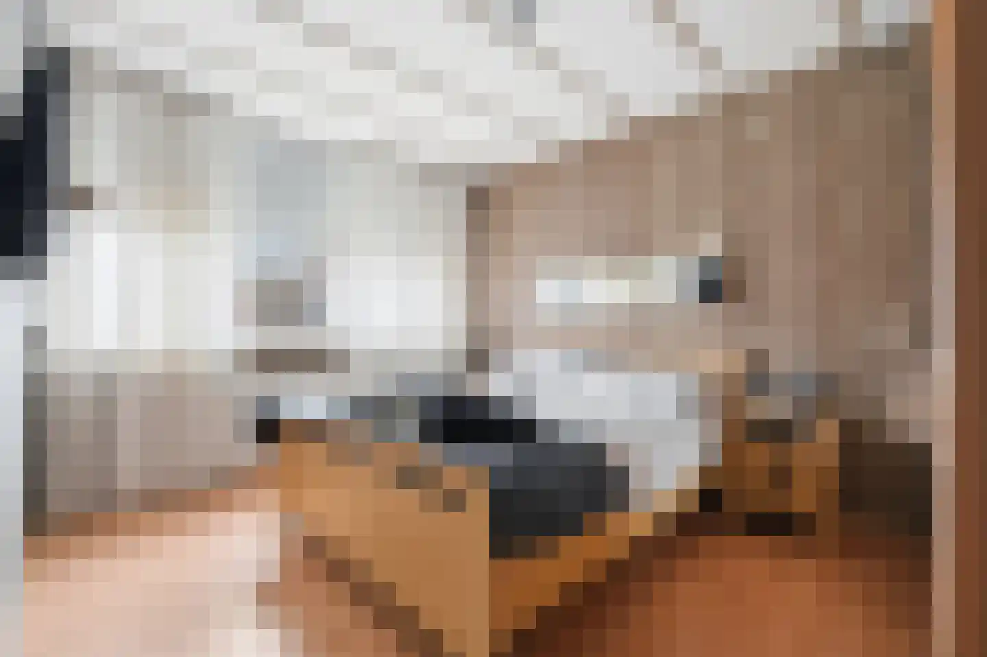 De Zwaai 69 Zwartemeer thumbnail 19