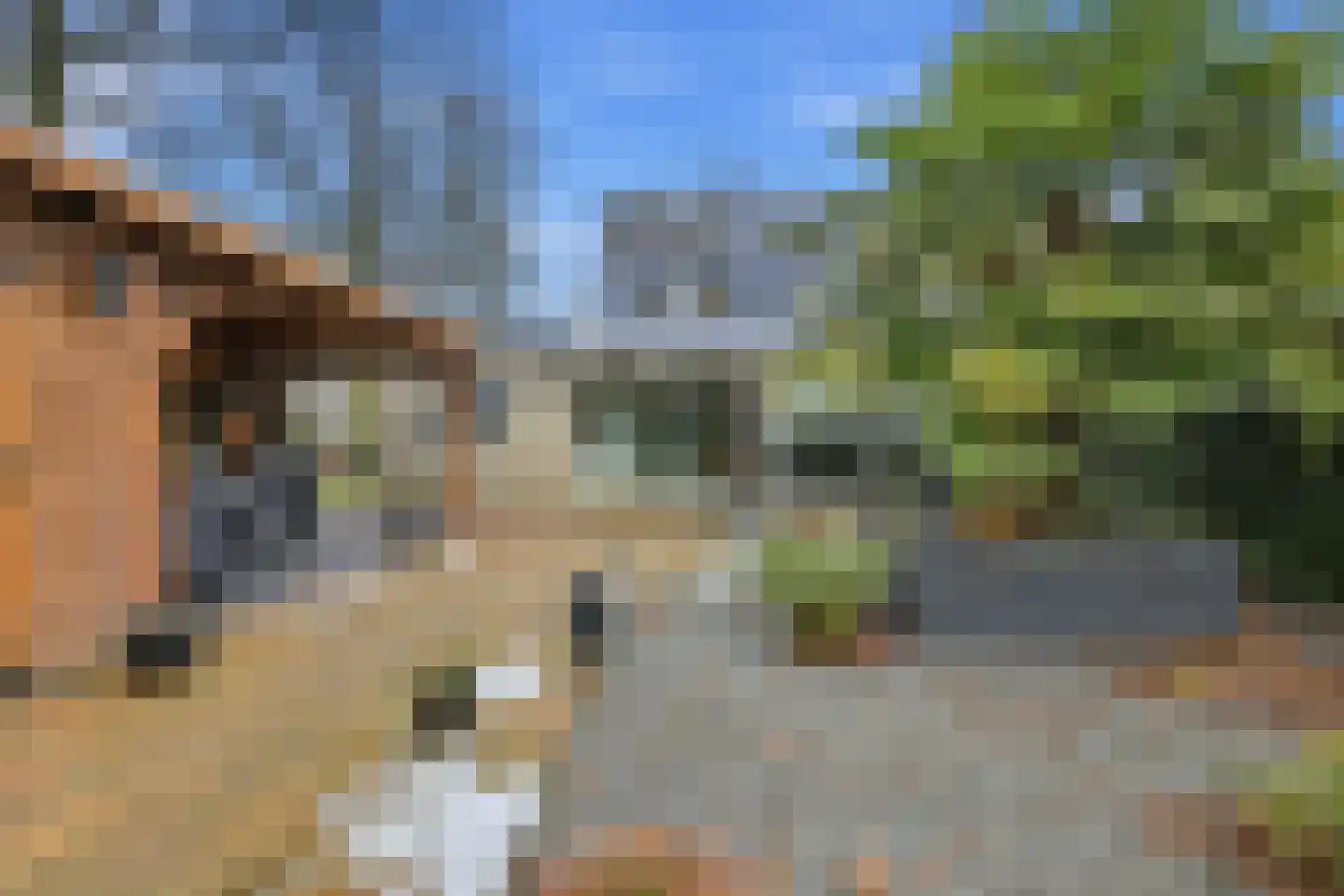 De Zwaai 69 Zwartemeer thumbnail 32