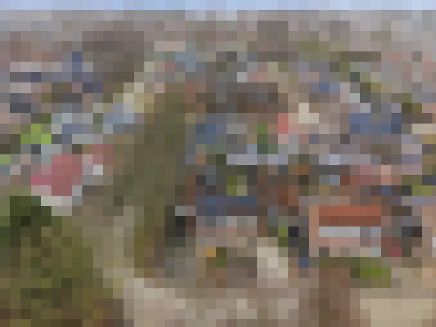 De Zwaai 69 Zwartemeer thumbnail 38