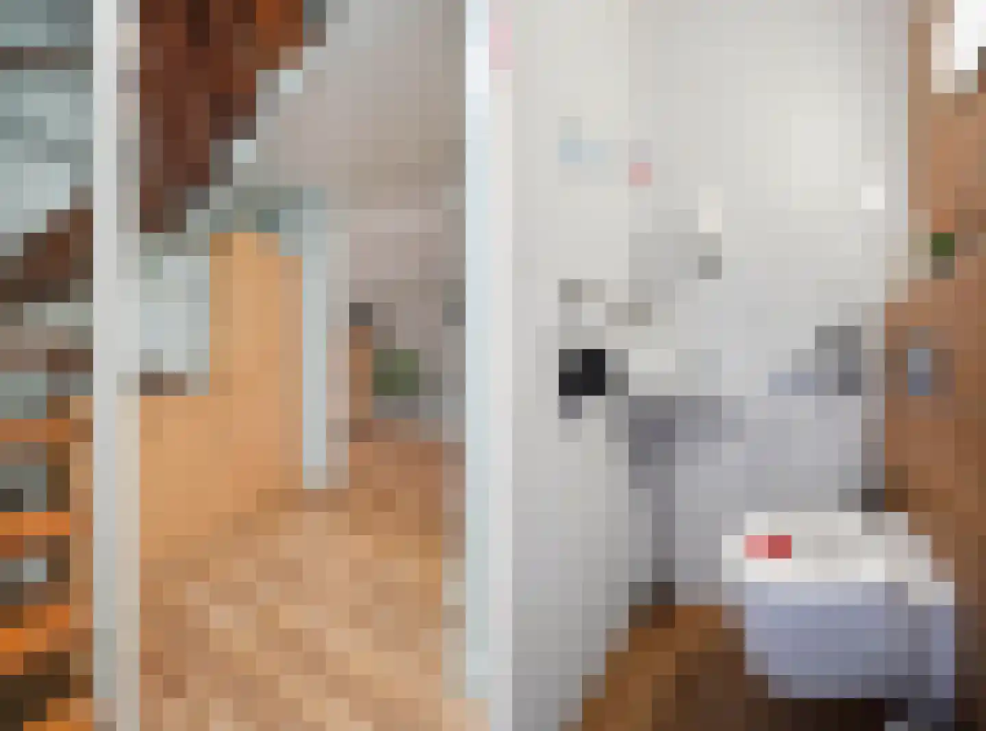 De Zwaai 69 Zwartemeer thumbnail 4