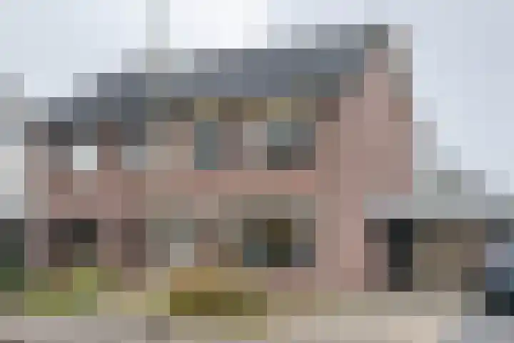 De Zwaan 12 Almelo