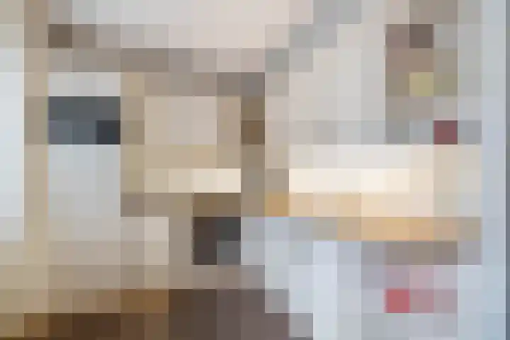 De Zwaan 12 Almelo thumbnail 11