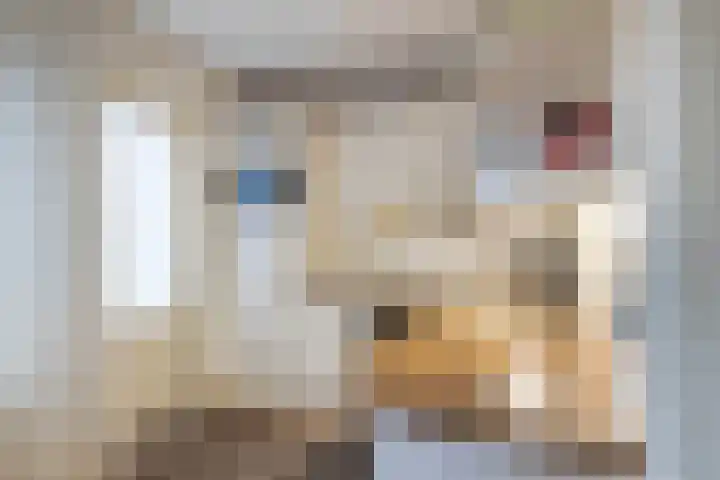 De Zwaan 12 Almelo thumbnail 12