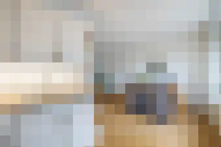 De Zwaan 12 Almelo thumbnail 13