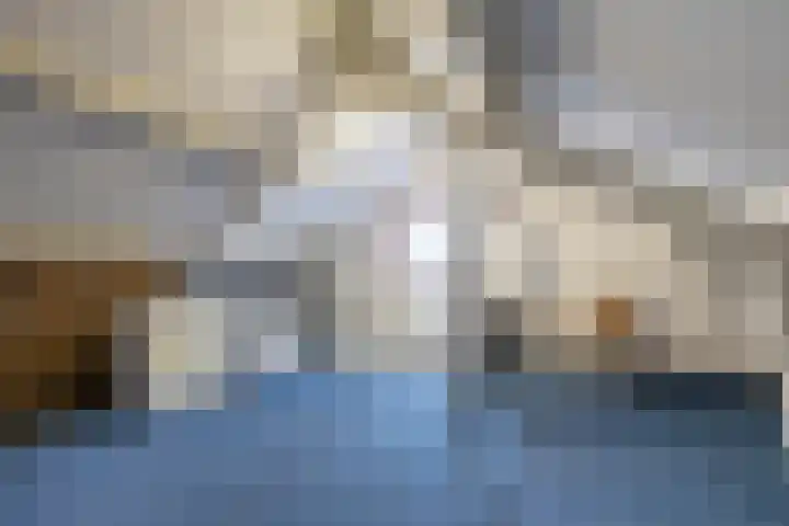 De Zwaan 12 Almelo thumbnail 24
