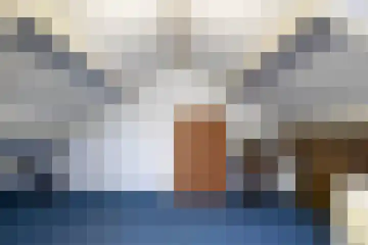 De Zwaan 12 Almelo thumbnail 25