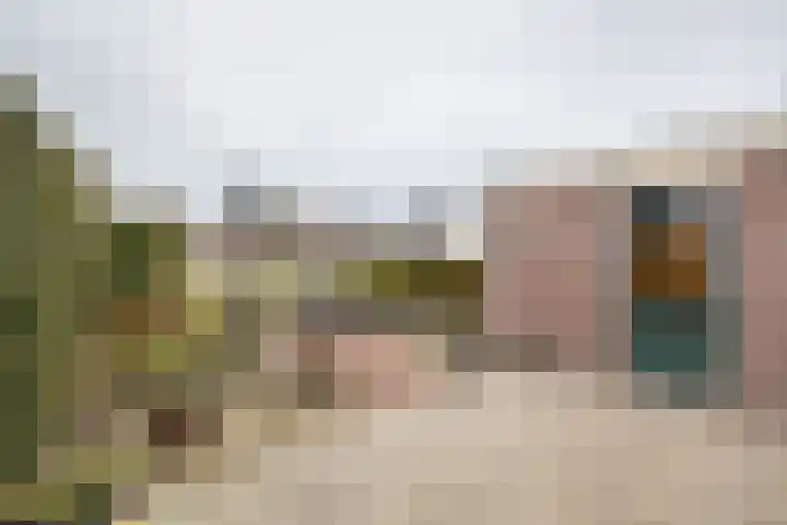 De Zwaan 12 Almelo thumbnail 28