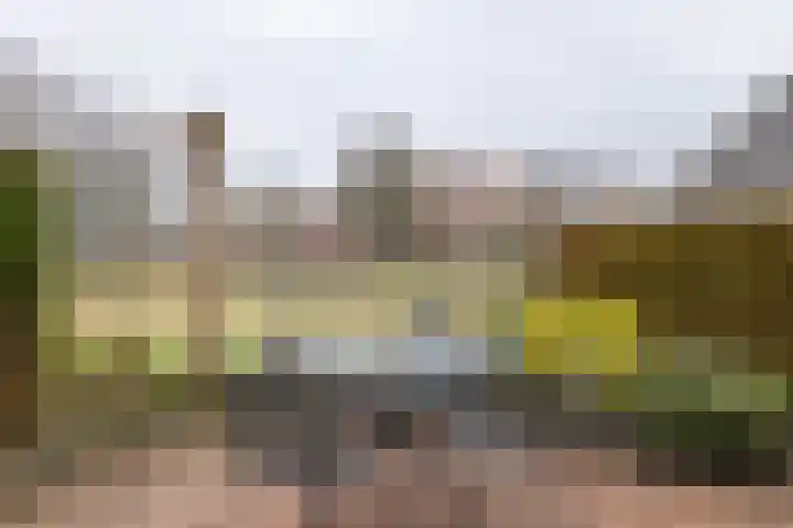 De Zwaan 12 Almelo thumbnail 29