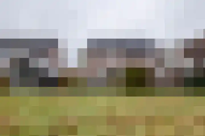 De Zwaan 12 Almelo thumbnail 30