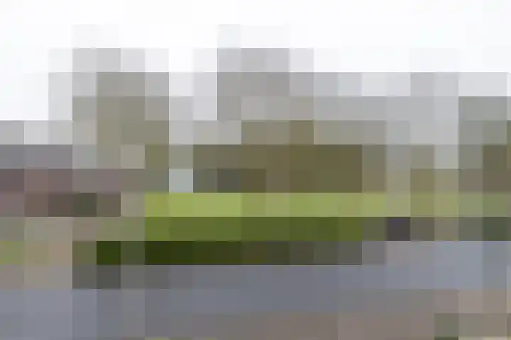 De Zwaan 12 Almelo thumbnail 31