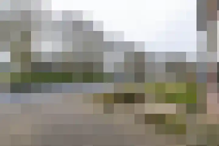 De Zwaan 12 Almelo thumbnail 32
