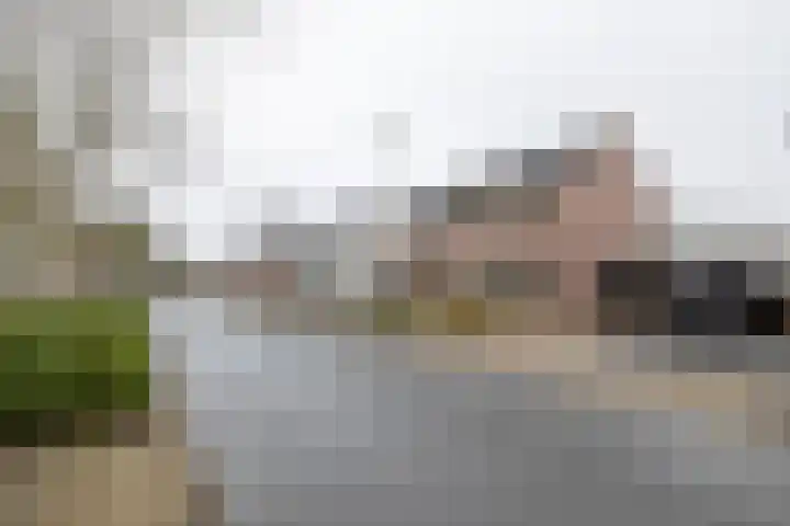 De Zwaan 12 Almelo thumbnail 33