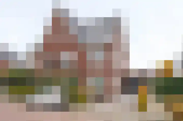 De Zwaan 2 in Beusichem