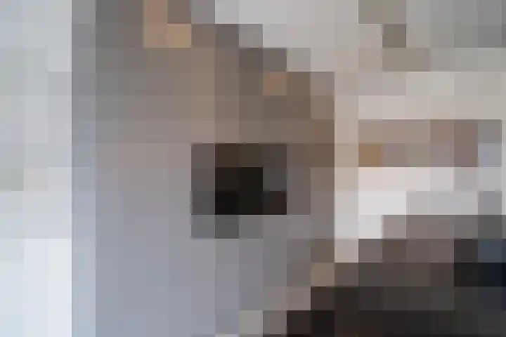 De Zwaan 2 Beusichem thumbnail 11
