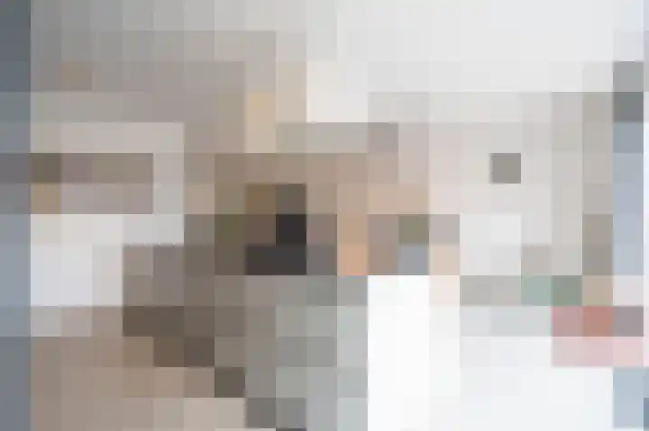 De Zwaan 2 Beusichem thumbnail 13