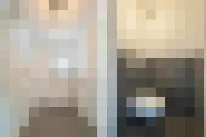De Zwaan 2 Beusichem thumbnail 18
