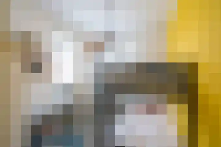 De Zwaan 2 Beusichem thumbnail 23