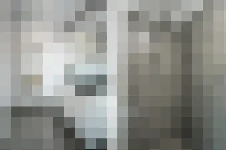 De Zwaan 2 Beusichem thumbnail 25