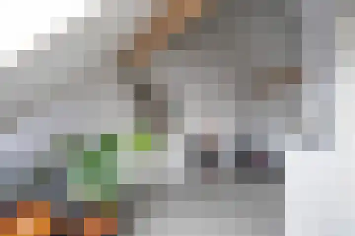 De Zwaan 2 Beusichem thumbnail 31