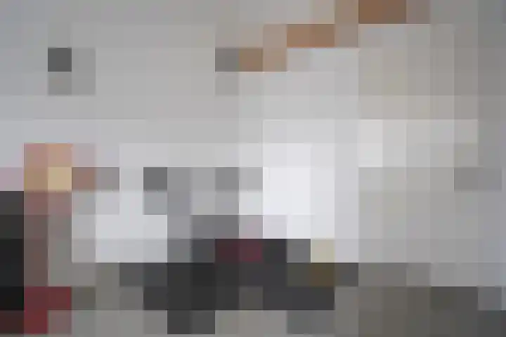 De Zwaan 2 Beusichem thumbnail 32