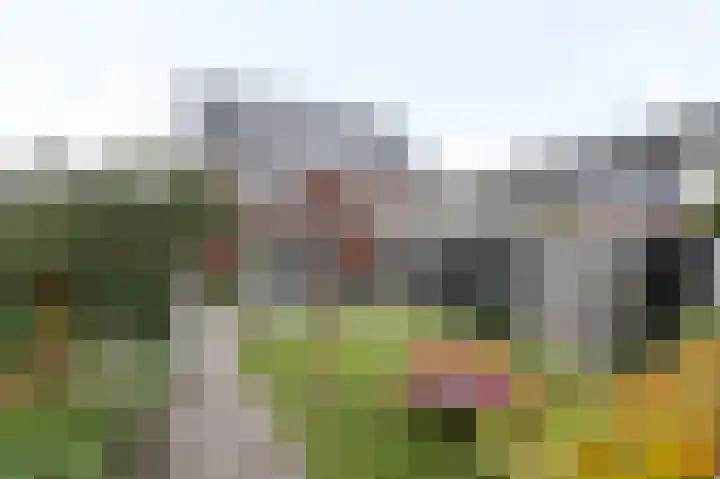 De Zwaan 2 Beusichem thumbnail 4