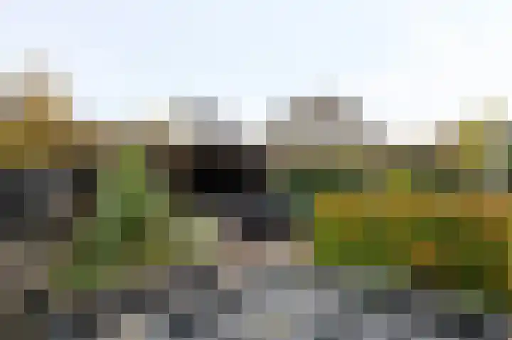 De Zwaan 2 Beusichem thumbnail 40