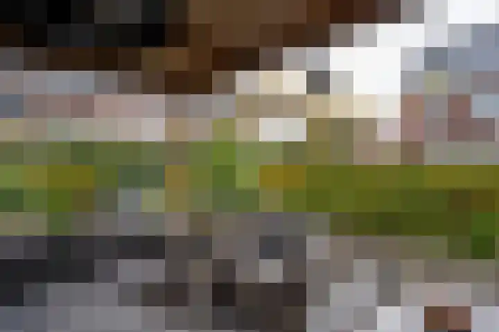 De Zwaan 2 Beusichem thumbnail 41