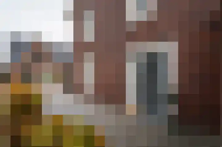 De Zwaan 2 Beusichem thumbnail 44